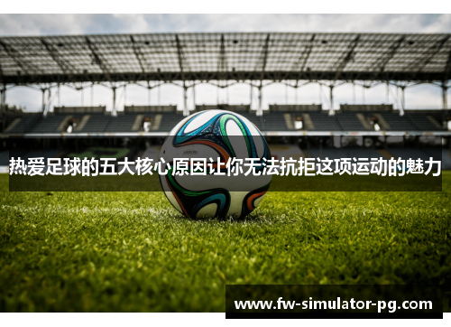 热爱足球的五大核心原因让你无法抗拒这项运动的魅力