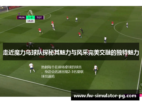 走近魔力鸟球队探秘其魅力与风采完美交融的独特魅力 走近魔力鸟球队探秘其魅力与风采完美交融的独特魅力