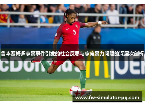 鲁本塞梅多家暴事件引发的社会反思与家庭暴力问题的深层次剖析
