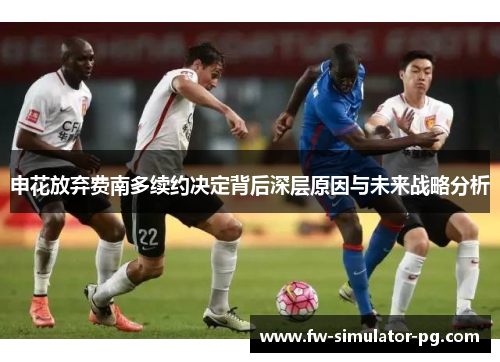 申花放弃费南多续约决定背后深层原因与未来战略分析 申花放弃费南多续约决定背后深层原因与未来战略分析