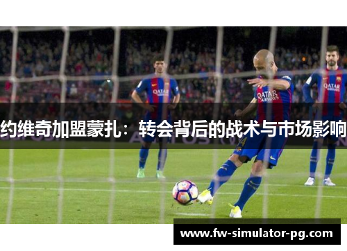 约维奇加盟蒙扎：转会背后的战术与市场影响