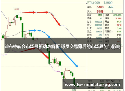 迪布林转会市场最新动态解析 球员交易背后的市场趋势与影响