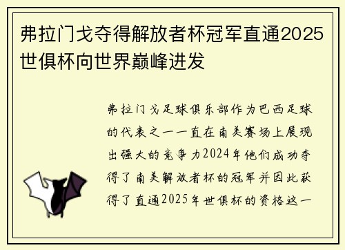 弗拉门戈夺得解放者杯冠军直通2025世俱杯向世界巅峰进发