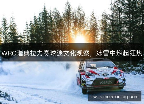 WRC瑞典拉力赛球迷文化观察，冰雪中燃起狂热
